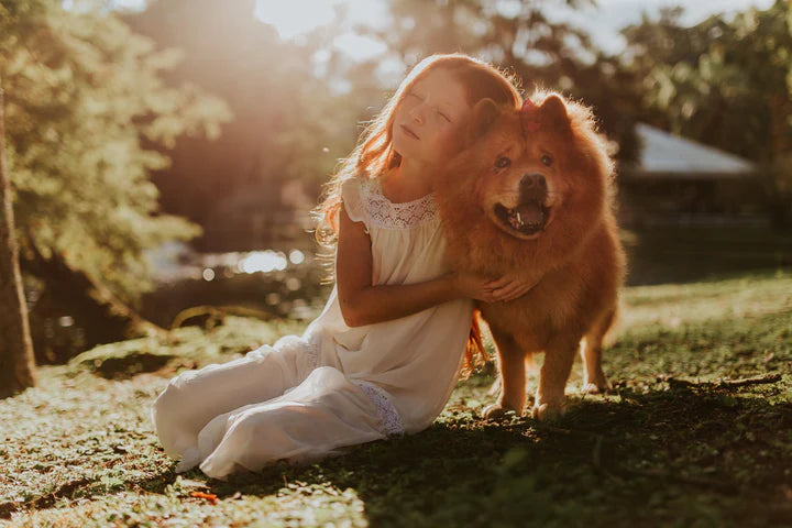 Proven Methods To Tackle Pet Allergies